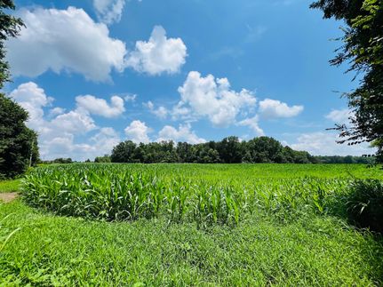 Farm and Ranch for sale in Adair County, Kentucky
