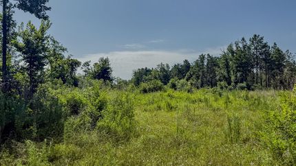 Farm and Ranch for sale in Calhoun County, Arkansas