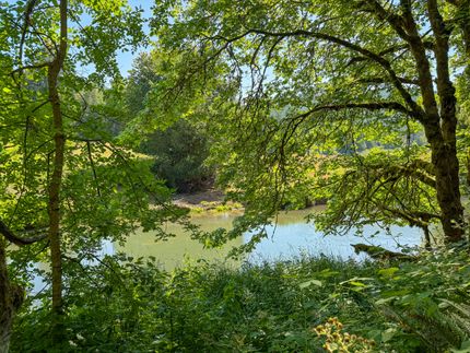 Recreational Property for sale in Lane County, Oregon