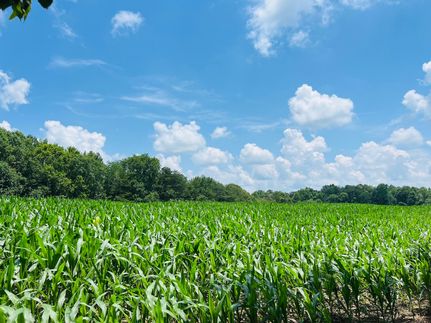 Recreational Property for sale in Adair County, Kentucky