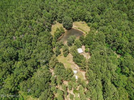 Timberland Property for sale in Pike County, Mississippi