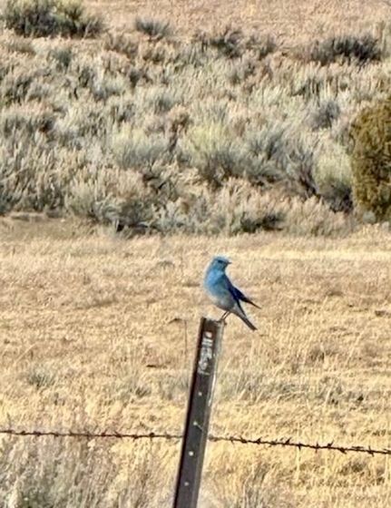 Farm and Ranch in Rio Arriba County, New Mexico