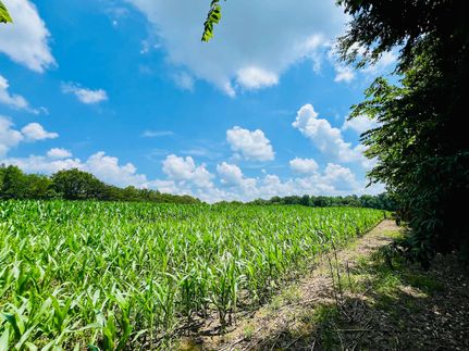 Farm and Ranch for sale in Adair County, Kentucky