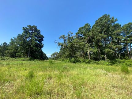 Land for sale in Leon County, Texas