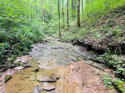 Undeveloped Land for sale in Adair County, Kentucky