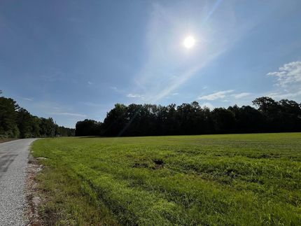 Farm and Ranch for sale in Benton County, Mississippi