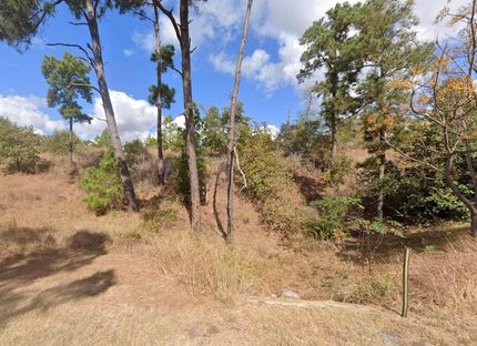 Timberland Property for sale in Bastrop County, Texas