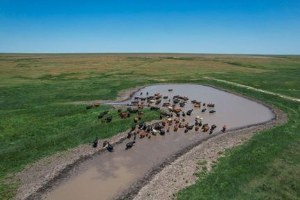 Farm and Ranch for sale in Finney County, Kansas