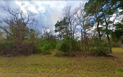 Undeveloped Land in Harrison County, Texas