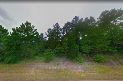 Undeveloped Land for sale in Houston County, Texas
