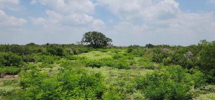 Recreational Property for sale in Uvalde County, Texas