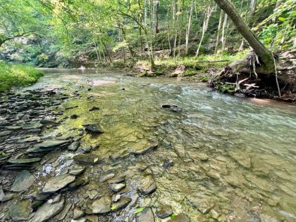 Farm and Ranch for sale in Washington County, Pennsylvania