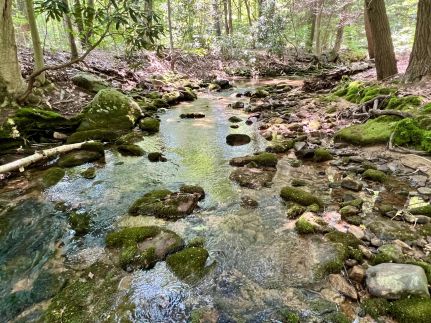 Hunting Property for sale in Somerset County, Pennsylvania