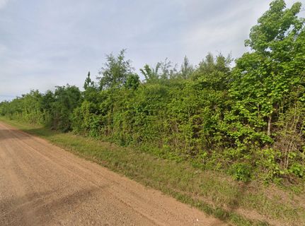 Undeveloped Land for sale in Liberty County, Texas
