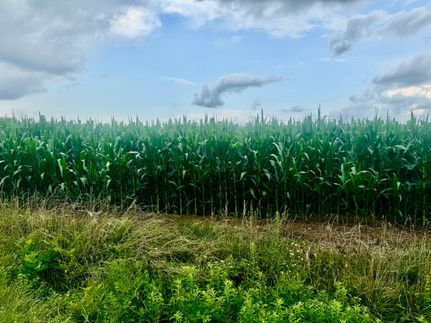 Farm and Ranch for sale in Clinton County, Illinois