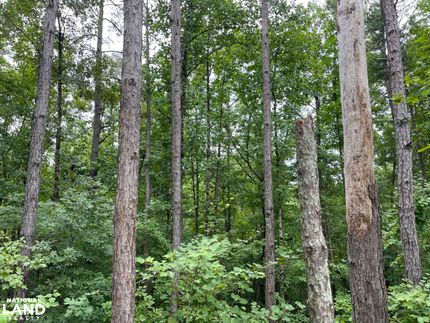 Farm and Ranch in Tuscaloosa County, Alabama