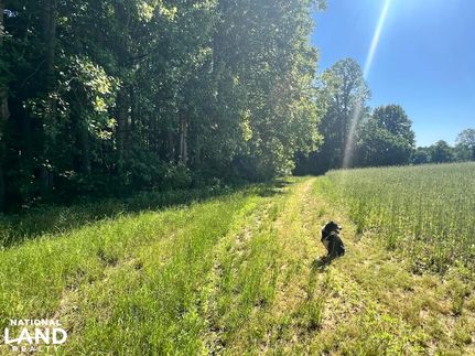 Hunting Property in New Kent County, Virginia
