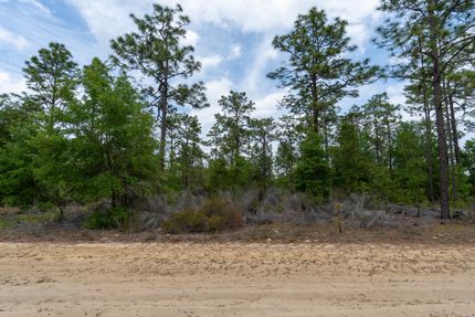 Undeveloped Land for sale in Putnam County, Florida