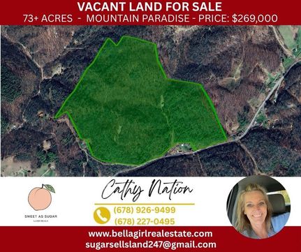 Undeveloped Land for sale in Ashe County, North Carolina
