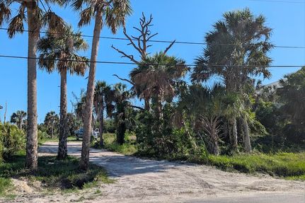 Undeveloped Land for sale in Lee County, Florida