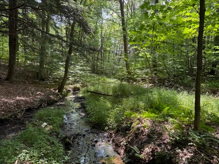 Timberland Property for sale in McKean County, Pennsylvania