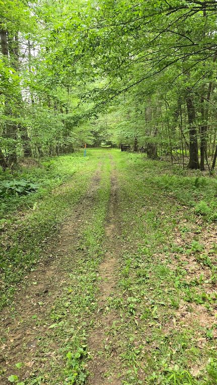 Farm and Ranch for sale in Warren County, Pennsylvania