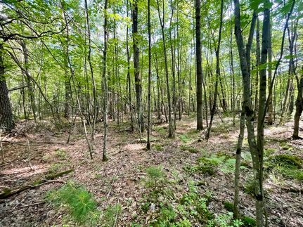 Farm and Ranch for sale in Clark County, Wisconsin