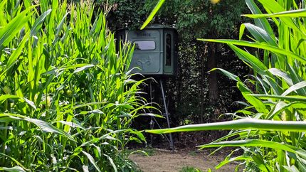 Farm and Ranch for sale in Jefferson County, Indiana
