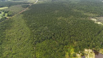Timberland Property for sale in Cumberland County, North Carolina