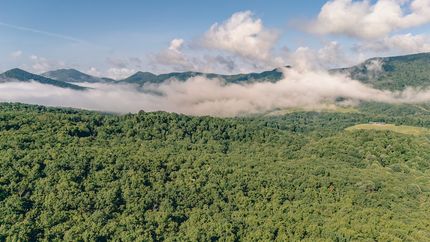 Farm and Ranch for sale in Botetourt County, Virginia