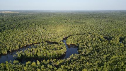 Undeveloped Land for sale in Mobile County, Alabama