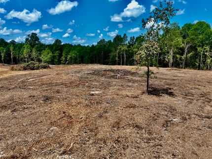 Recreational Property for sale in Marion County, Mississippi