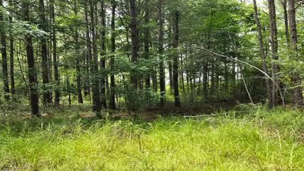 Farm and Ranch for sale in Laurens County, Georgia