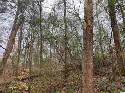 Recreational Property for sale in Morgan County, Alabama