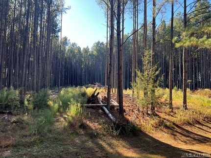 Recreational Property for sale in Mecklenburg County, Virginia