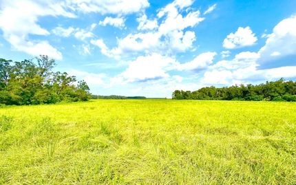 Undeveloped Land for sale in Lafayette County, Florida