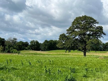 Timberland Property for sale in Monroe County, New York