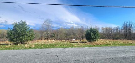 Undeveloped Land for sale in Sullivan County, New York