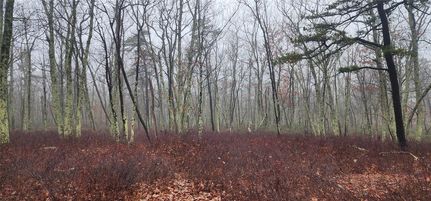 Homesite for sale in Sullivan County, New York