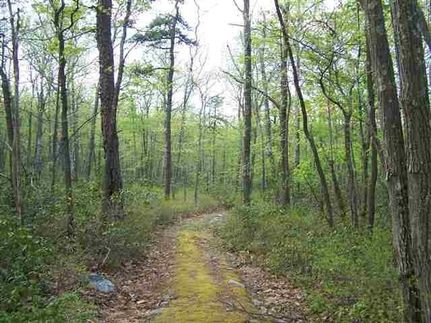 Undeveloped Land for sale in Sullivan County, New York