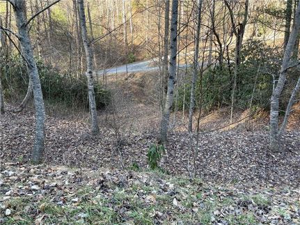 Undeveloped Land for sale in Swain County, North Carolina