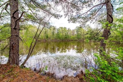 Timberland Property for sale in Saline County, Arkansas