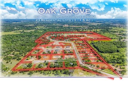 Undeveloped Land for sale in Parker County, Texas