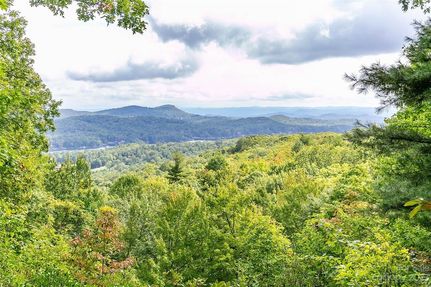 Timberland Property for sale in Transylvania County, North Carolina