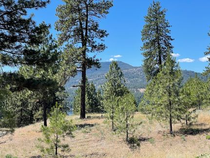 Timberland Property for sale in Stevens County, Washington
