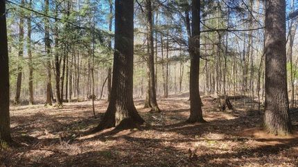 Farm and Ranch for sale in Price County, Wisconsin