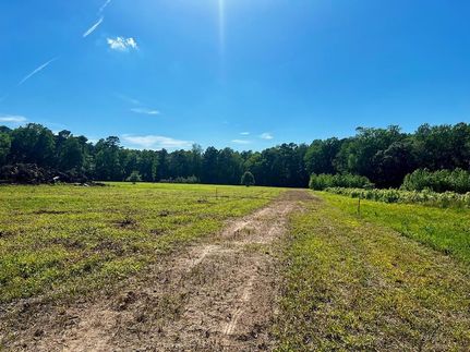 Undeveloped Land for sale in Accomack County, Virginia