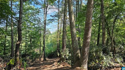 Farm and Ranch for sale in Yancey County, North Carolina