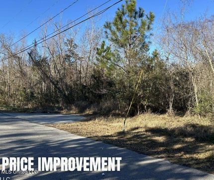 Undeveloped Land for sale in Hancock County, Mississippi