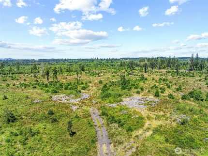 Undeveloped Land for sale in Lewis County, Washington